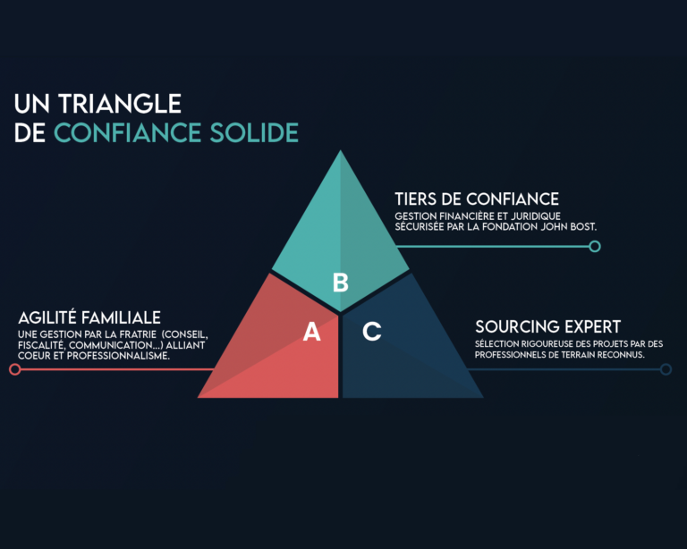 INFOGRAPHIE FONDATION PHILIPPE SIBIEUDE_TRIANGLE