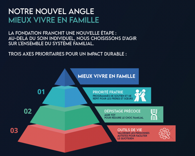 INFOGRAPHIE FONDATION PHILIPPE SIBIEUDE_PYRAMIDE